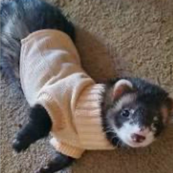 ENJOY YOUR WEEKEND EVERYONE! Happy Poshing 😊😊😊🛍️🛍️🛍️🥂🥂🥂 - Picture 5 of 6